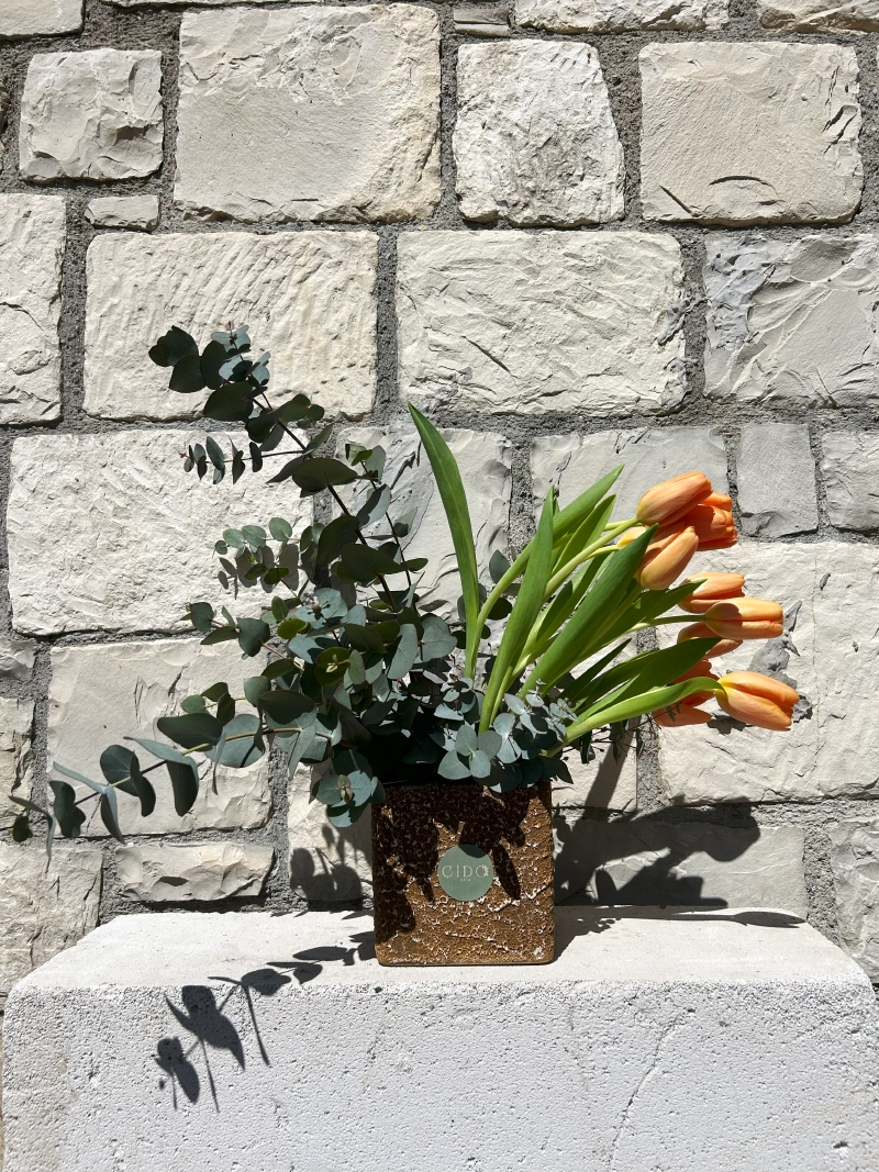 Tulips - Görsel 2